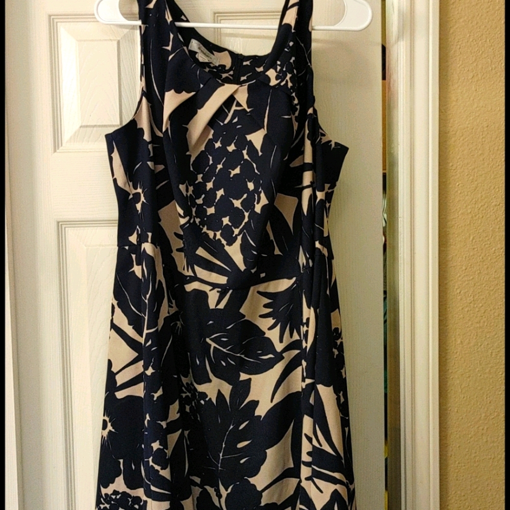 Dressbarn dress